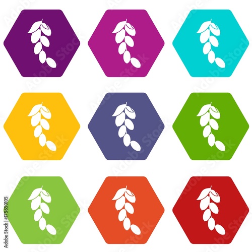 Branch of cornel or dogwood berries icon set color hexahedron