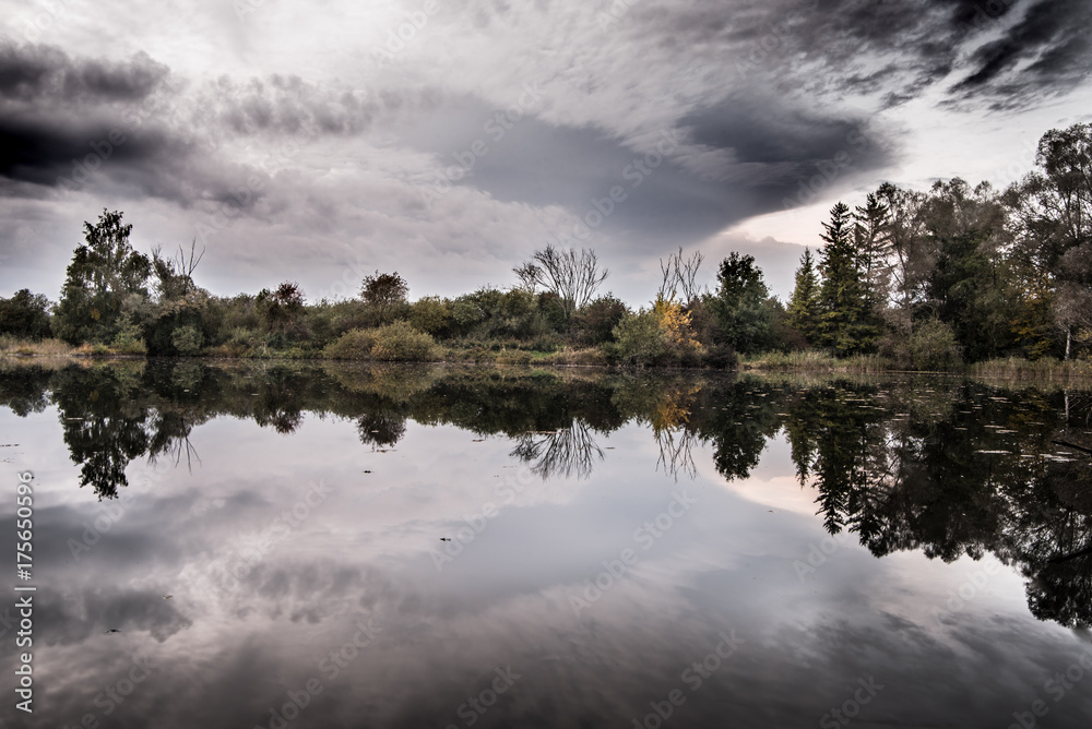 Fototapeta premium Wald - Spiegelung im Wasser - blaue Stunde 