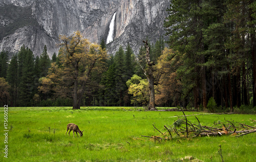 Yosemite Falls