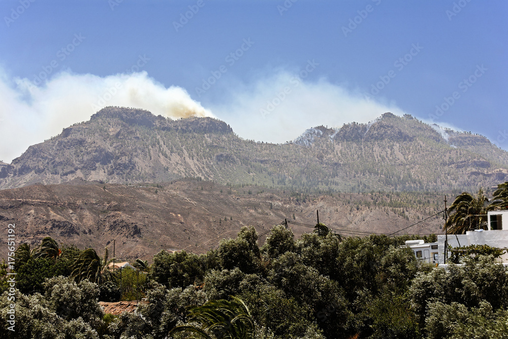 Forest fires, Gran Canaria, Spain, Europe