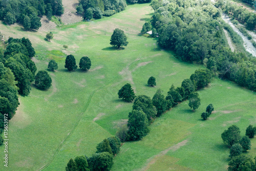 Alpine landscape