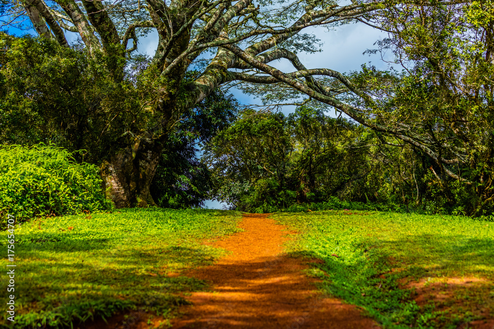 Fototapeta premium plateau de l'ile