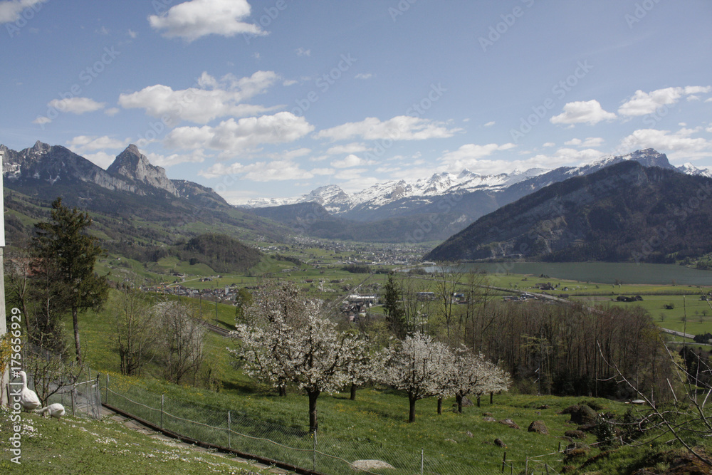 Swiss landscape in spring