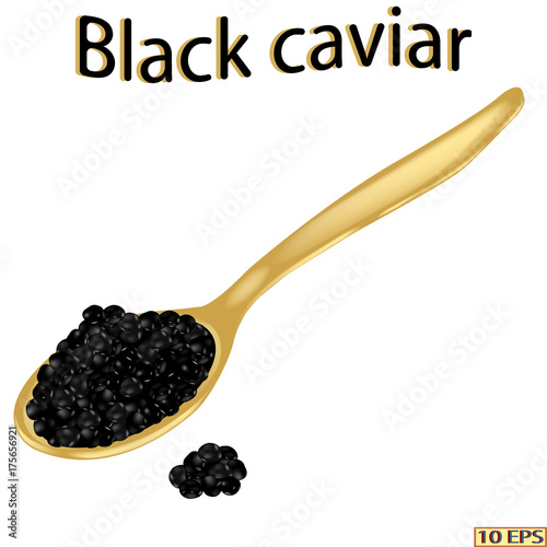 Black caviar. Spoon with sturgeon caviar isolated on white background.  Vector illustration.
