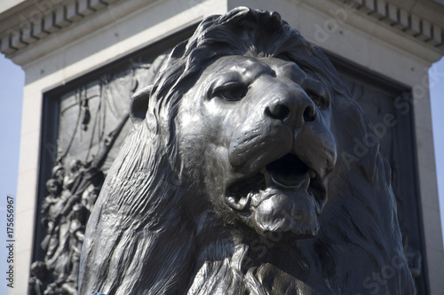 Lion's Head at Nelson figure, Trafalgar Square, London, UK, Europa