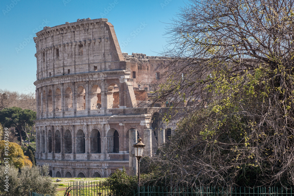 Fototapeta premium a view of Colosseum in Rome with trees on a sunny summer day