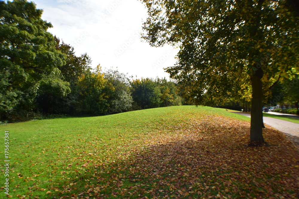 Naklejka premium Landscape