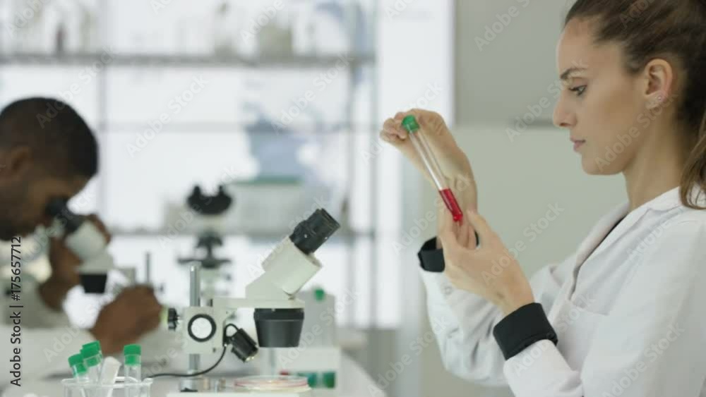  Medical researchers working together in modern laboratory