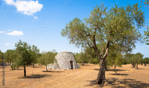Canvastavla Puglia Region, Italy. Traditional warehouse made of stone