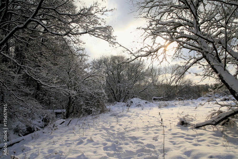 malerische Winterlandschaft mot Schnee und Bäumen malerische Winterlandschaft mot Schnee und Bäumen