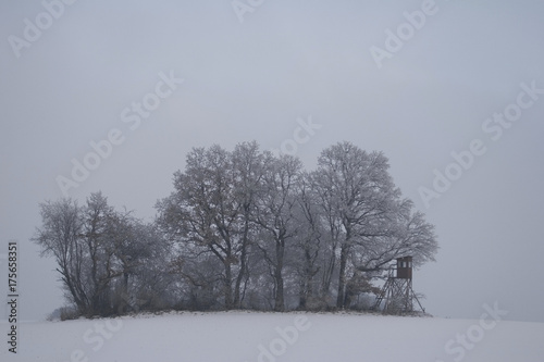 Raised Hide with Trees in Winter