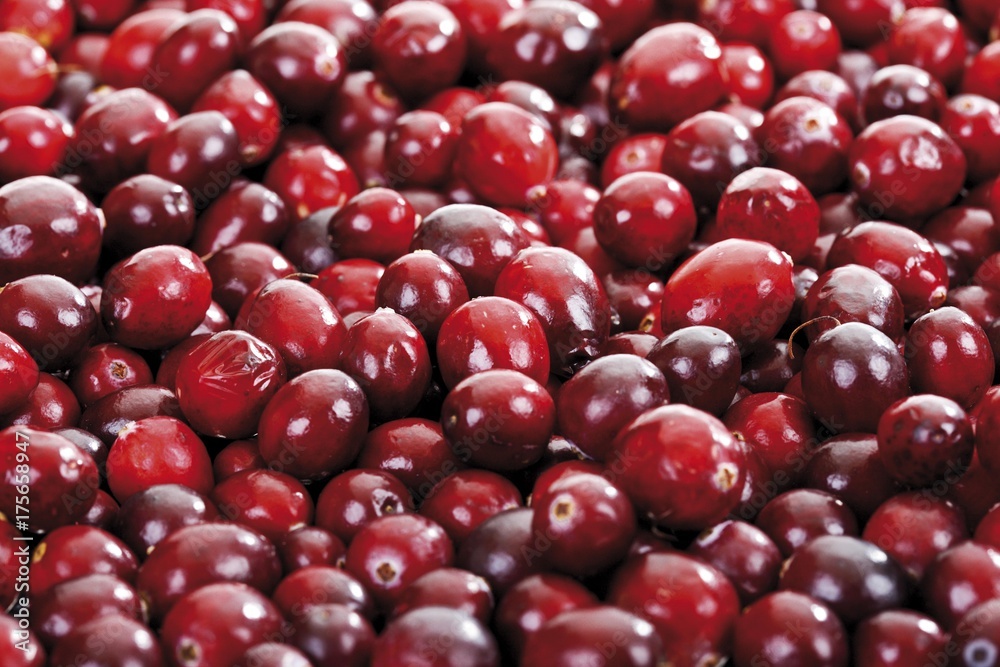 Cranberries, full frame Cranberries, full frame