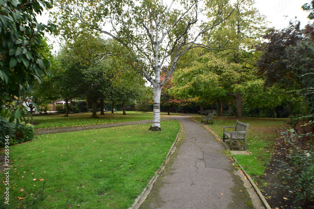 Obraz premium Park View