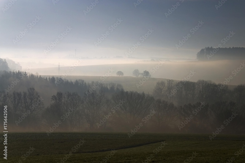 Fototapeta premium Early-morning fog near Biberach an der Riss, Swabia, Baden-Wuerttemberg, Germany, Europe