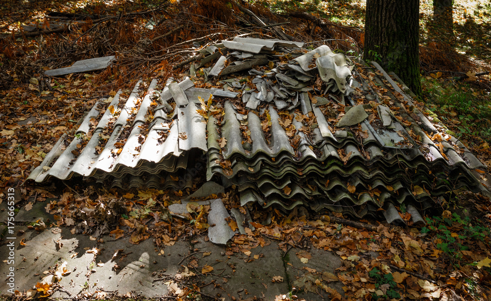 Obraz premium Old and dangerous asbestos roof. Asbestos fibers in the environment.