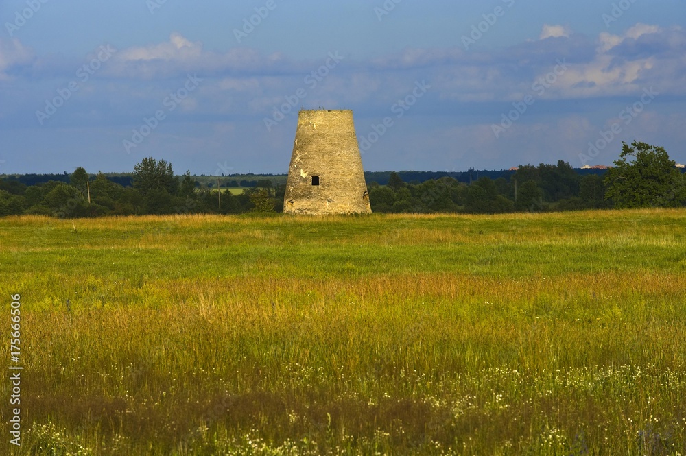 Flower meadow and old mill near Saka, Estonia, Baltic States, Europe