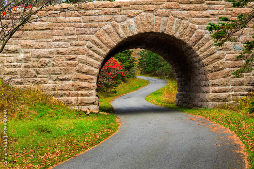 A small road winds its way through Acadia National Park in Maine