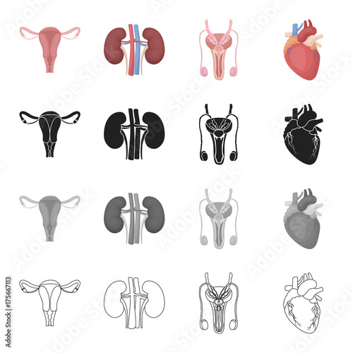 Science, treatment, hospital and other web icon in cartoon style., Components, internal, medicine icons in set collection.