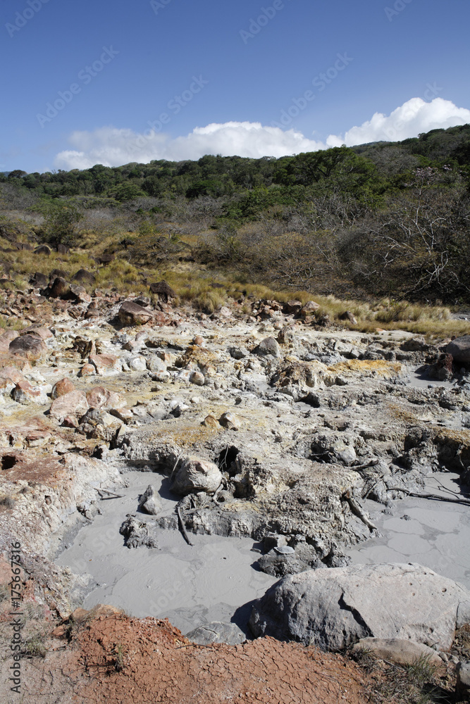 Hot mud springs, Rincon de la Vieja National Park, Guanacaste, Costa Rica, Central America