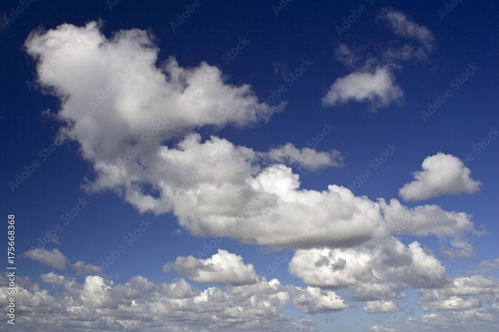 Puffy white clouds in a blue sky, Dithmarschen, Schleswig-Holstein, Germany, Europe