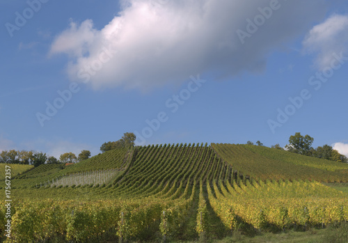 Winegrowing in the Steigerwald, Lower Franconia, Bavaria, Germany, Europe