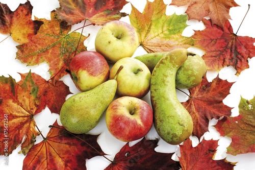 Apples and pears with colourful autumn leaves