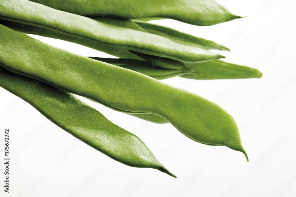 Snap beans (Phaseolus)