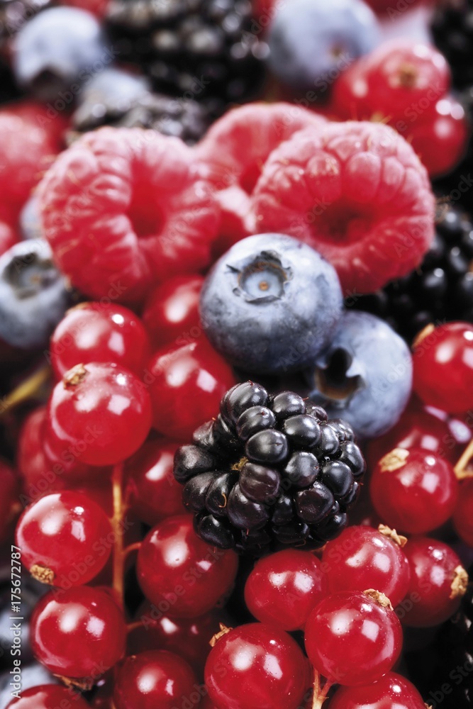 Mixed forest berries, blueberries, raspberries, blackberries, red currants Mixed forest berries, blueberries, raspberries, blackberries, red currants