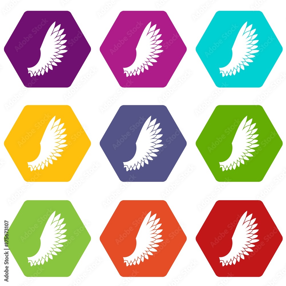 Wing icon set color hexahedron Wing icon set color hexahedron