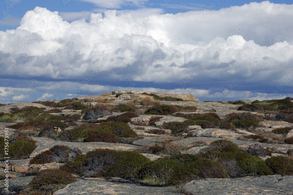 Landscape with granite rocks at the swedish Baltic Sea coast - Ramsvik, Bohuslaen, Schweden