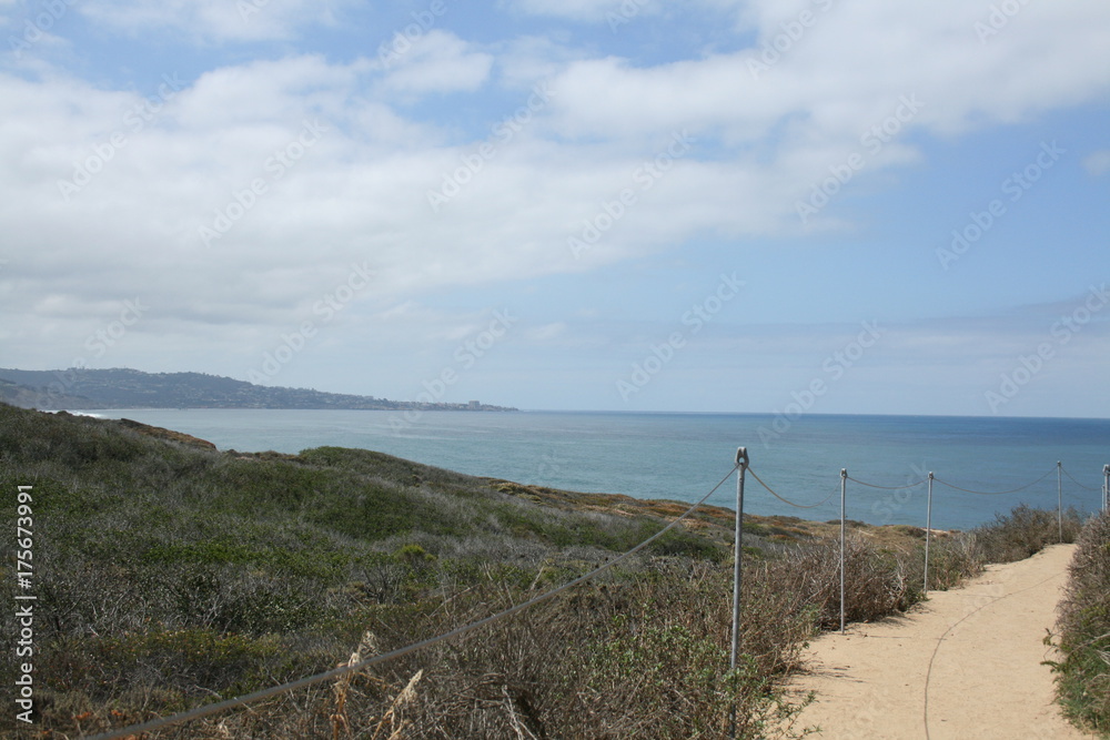 Obraz premium torrey pines