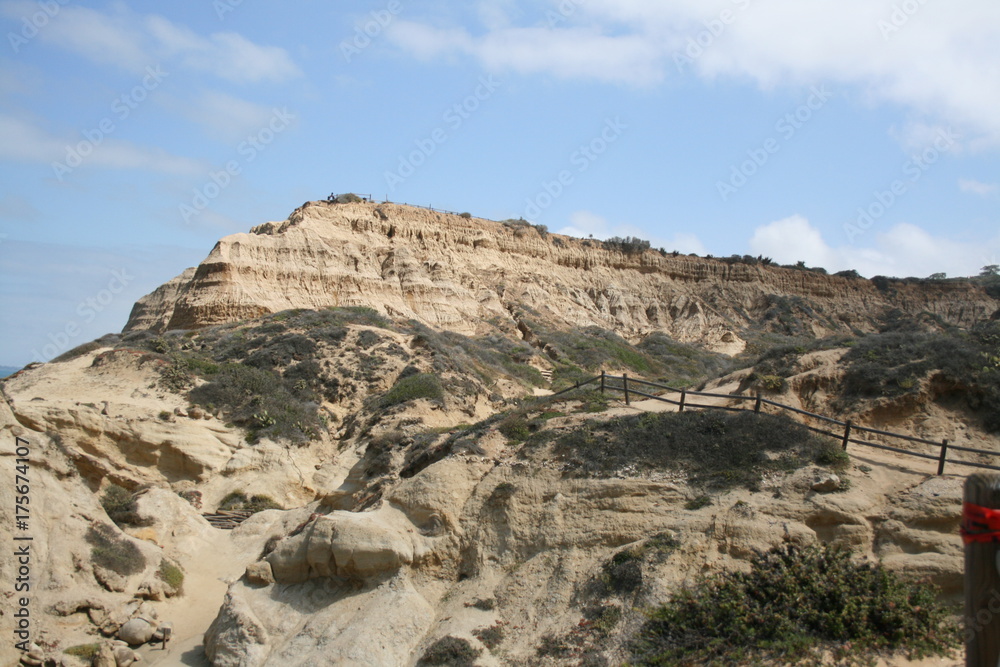 Fototapeta premium torrey pines