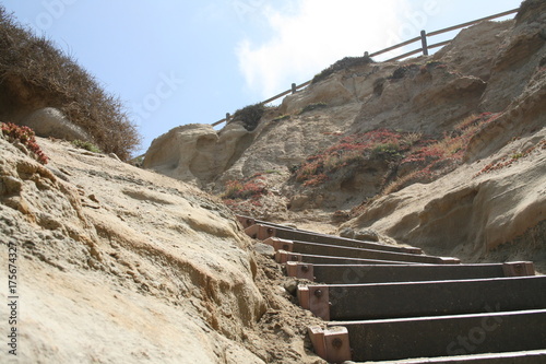 Фотография torrey pines