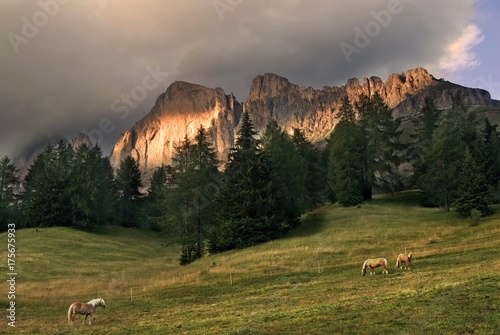 Rotwand, red rock face of the Rosengartenmassiv, Rosengarten Massif and Haflinger horses grazing on an alpine pasture in the foreground, Lake Karersee, Bolzano-Bozen, Italy, Europe