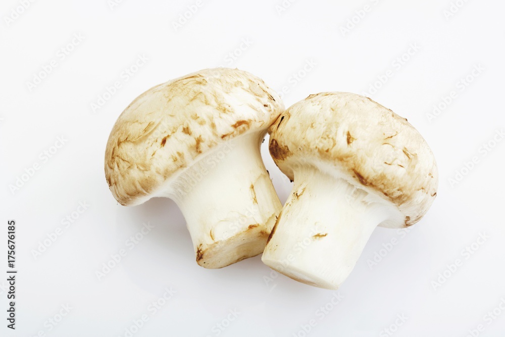 Button Mushrooms or Field Mushrooms (Agaricus) Button Mushrooms or Field Mushrooms (Agaricus)