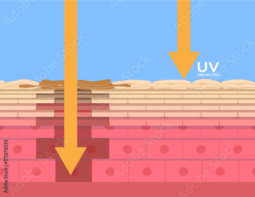 uv protection vector , ultraviolet comparison