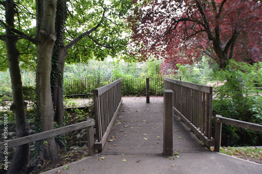 Small Wood Bridge In Park