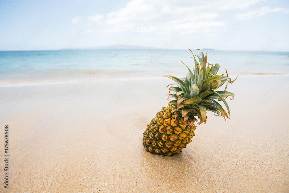 Fresh pineapple fruit on a tropical sandy beach Fresh pineapple fruit on a tropical sandy beach