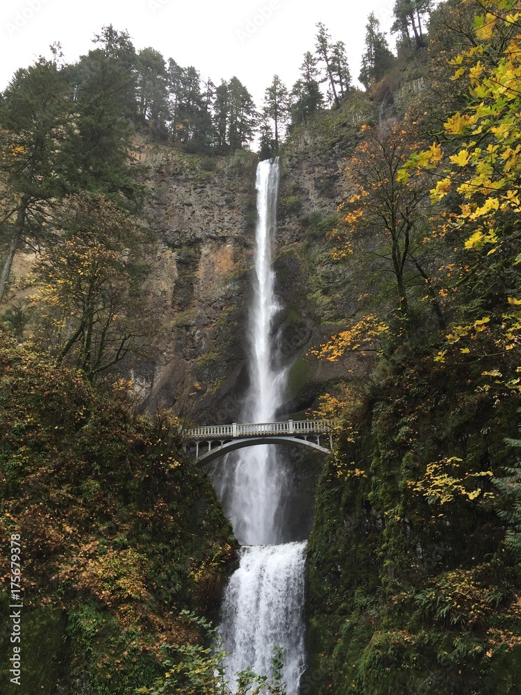 Fototapeta premium Multnomah Falls