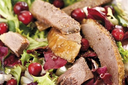 Mixed salad with goose-breast