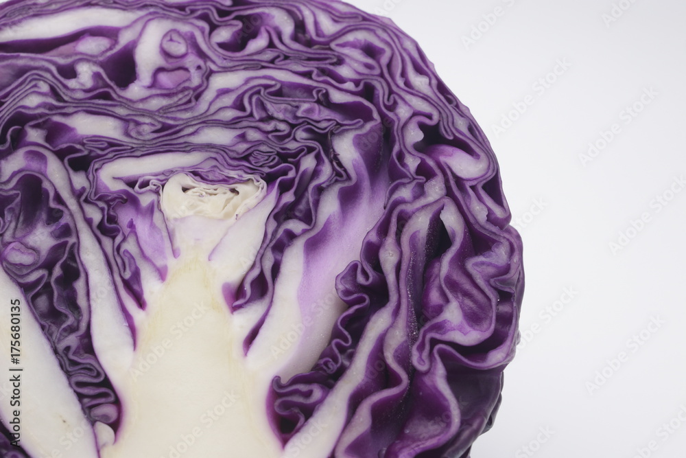 Obraz premium Purple Cabbage