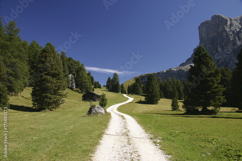 Trail, alp meadow, South Tyrol