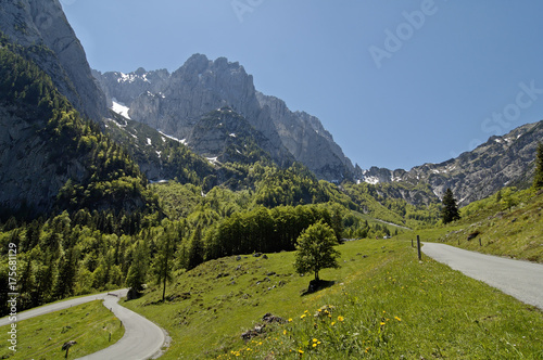 Fototapeta Naklejka Na Ścianę i Meble -  Kaisertal at the Wilden Kaiser Tyrol Austria at the Kaisergebirge