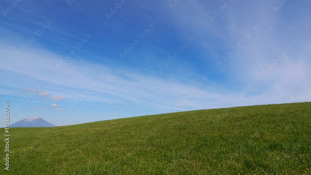 Fototapeta premium 草原と羊蹄山