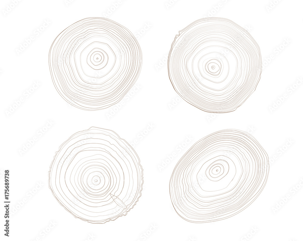 Four brown ring tree wood with the woodgrain detail
