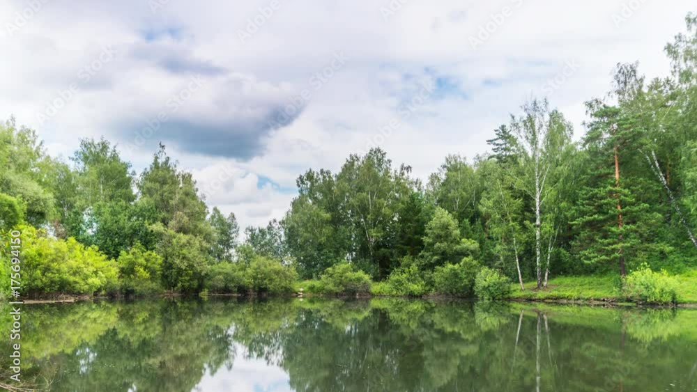 Pond with ducks in forest under clouds. Timelapse. Pond with ducks in forest under clouds. Timelapse.