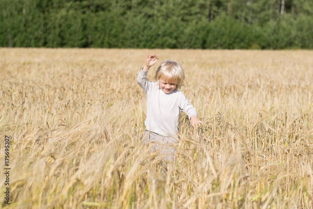 Blond Slavic happy kid boy at a ripe rye wheat field, autumn harvest, Russian forest, the Urals