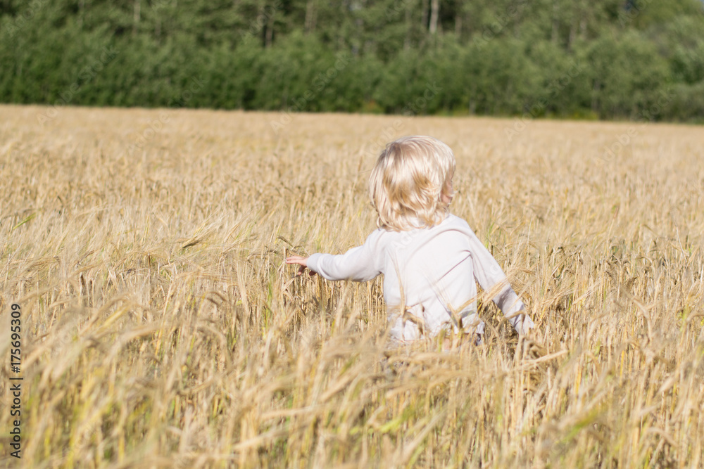 Blond Slavic happy kid boy at a ripe rye wheat field, autumn harvest, Russian forest, the Urals
