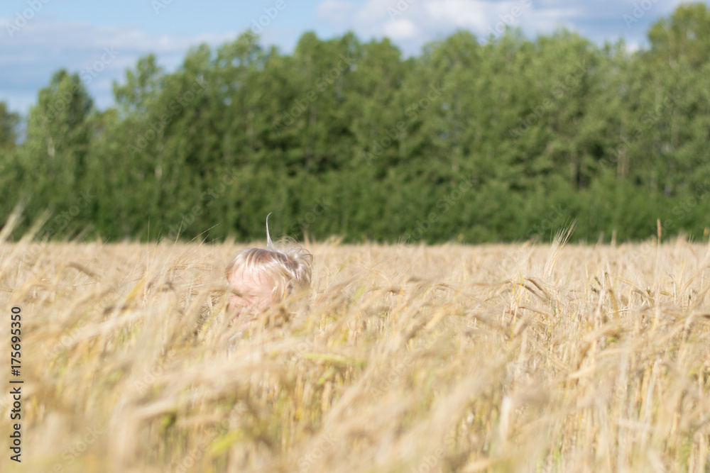 Blond Slavic happy kid boy at a ripe rye wheat field, autumn harvest, Russian forest, the Urals