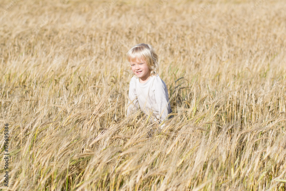 Happy blond child has fun in the rye field, ripe ears of autumn harvest ready to crop